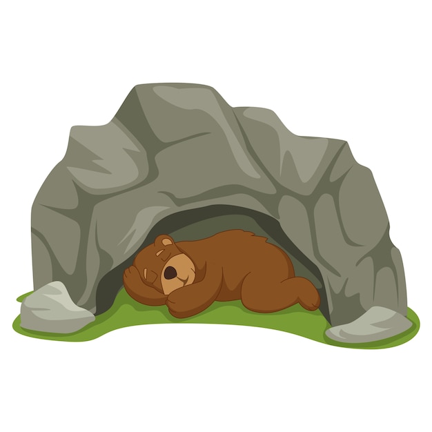 Cartoon Bear Sleeping in Cave