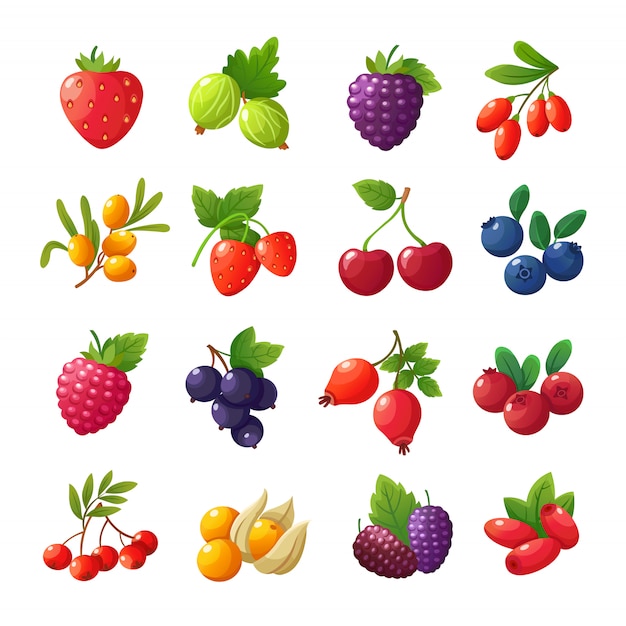 Cartoon berries. Strawberries, raspberries, cherries, gooseberries, blueberries, cranberries  set isolated on white 