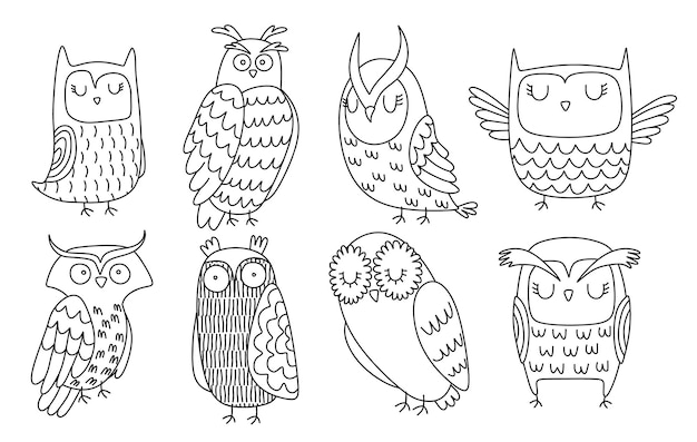 cartoon big set of cute doodle owl