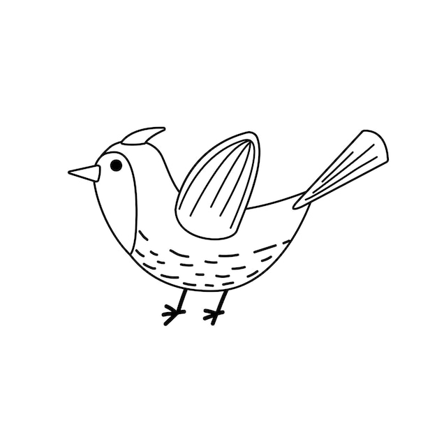 Cartoon bird Coloring page Black and white bird Vector