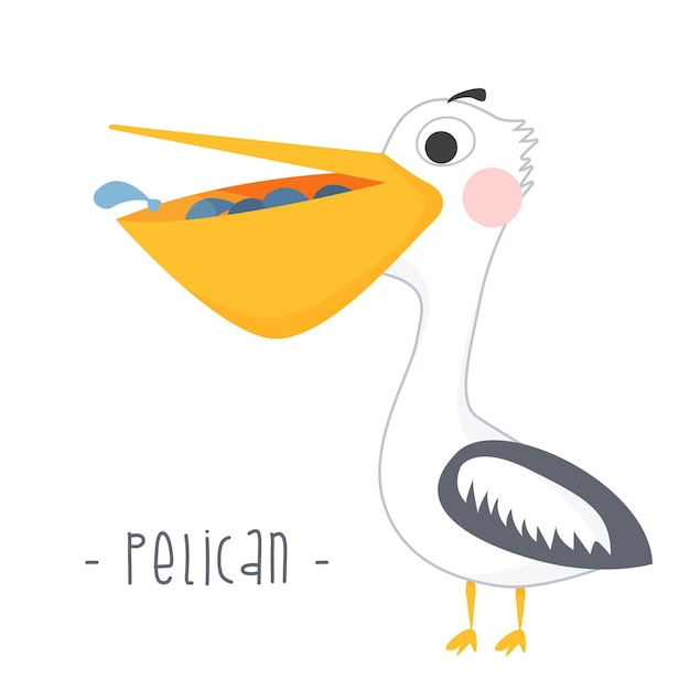 Cartoon bird pelican with fish in its beak isolated on white background