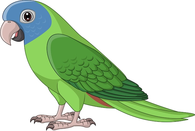 Cartoon Blue Crown Conure Parrot