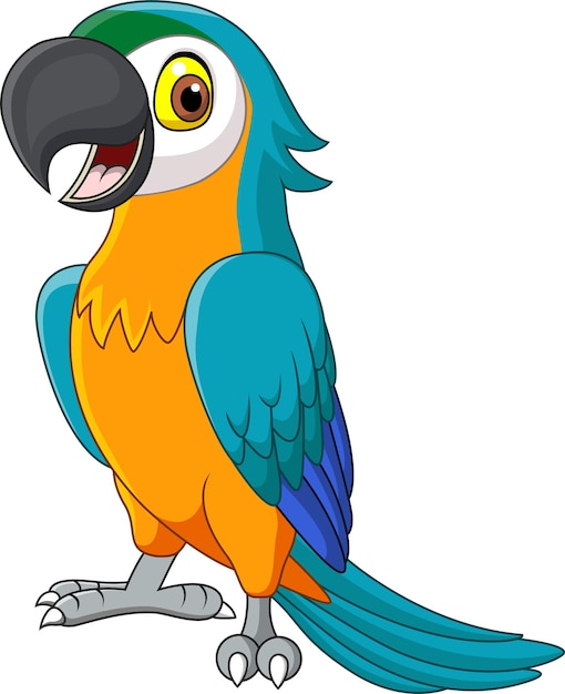 Cartoon blue macaw isolated on white