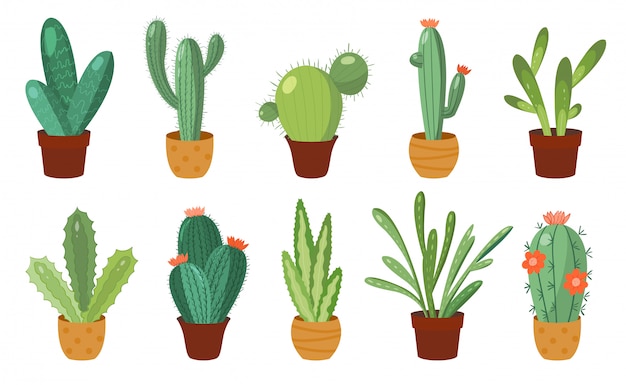 Cartoon cactus set.