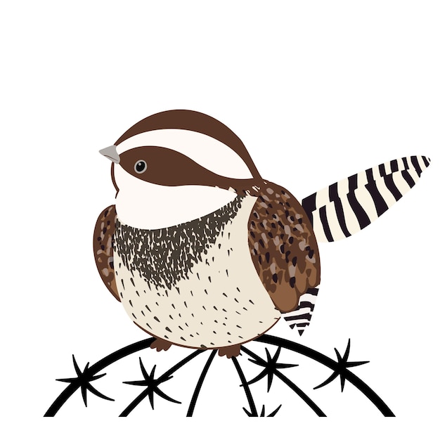 Cartoon Cactus Wren bird designed with cute and simple style. A bird from Arizona on a cactus.