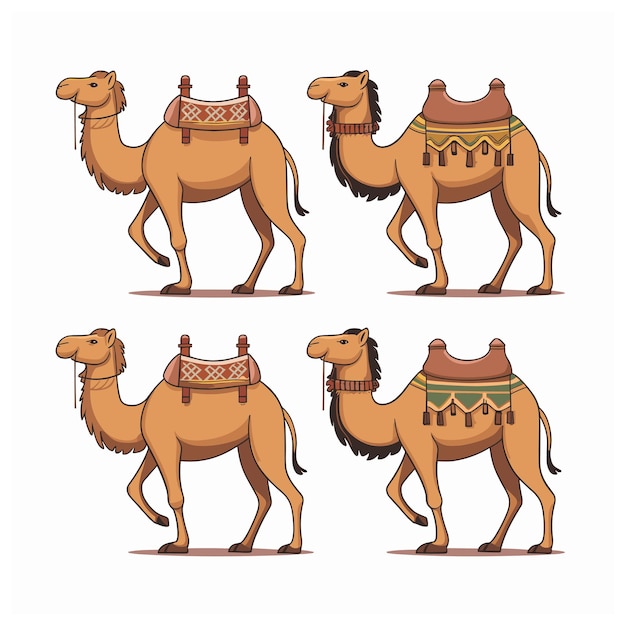 Vector cartoon camel isolated on white background