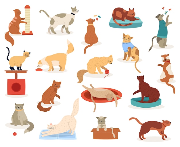 Cartoon cats. Cute kitten characters, funny fluffy playful cats, pedigree breeds pets, adorable kitty pets  illustration icons set. Kitten and cat, pet animal breed, fluffy domestic feline