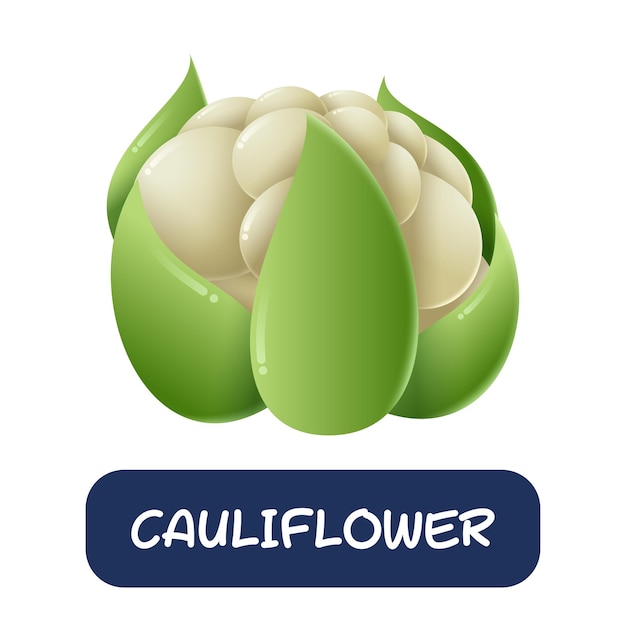 Cartoon cauliflower vegetables vector isolated on white background