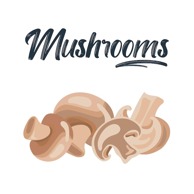 Cartoon champignon Edible tasty ripe mushroom slices delicious raw champignon mushrooms vector illustration set Fresh champignonRipe vegetable mushroom to eating vegetarian gourmet