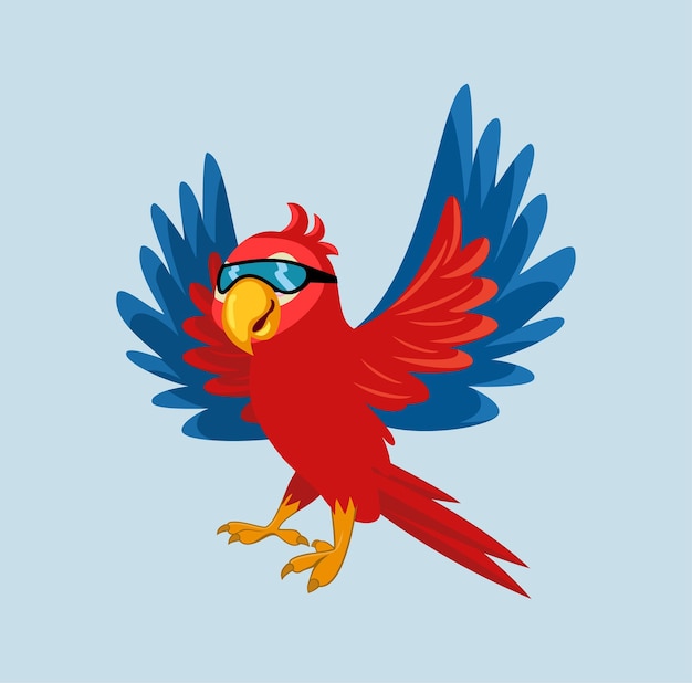 Cartoon character parrot birds design illustration