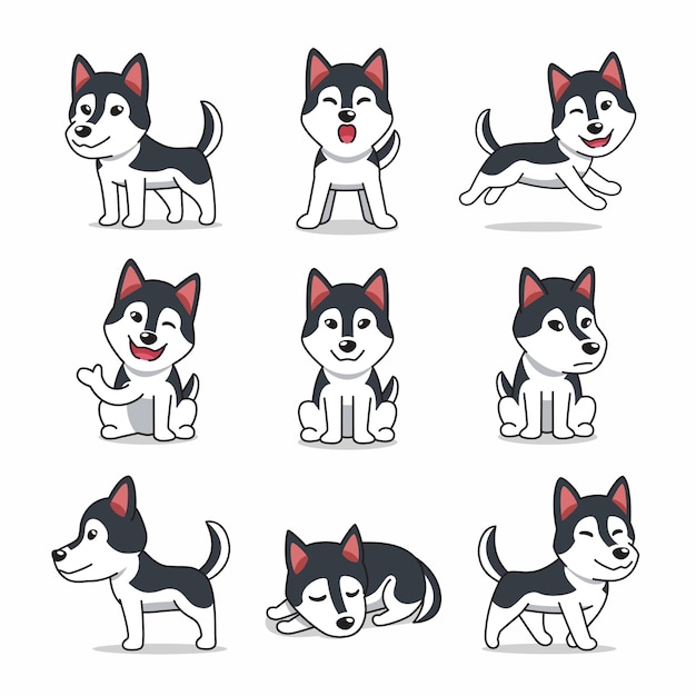 Cartoon character set of Siberian husky dog