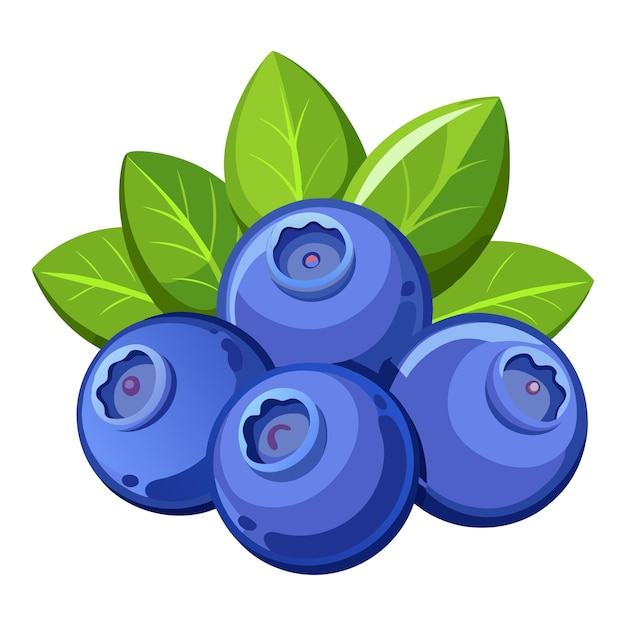 Vector cartoon characters blueberries fruit with green leaf stock photos and images