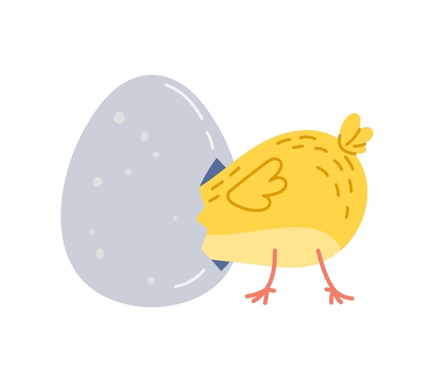 Vector cartoon chick character hatching from the egg