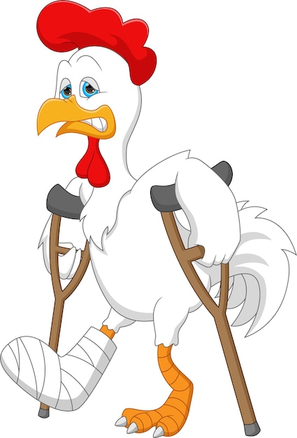 cartoon chicken broken leg and using crutches