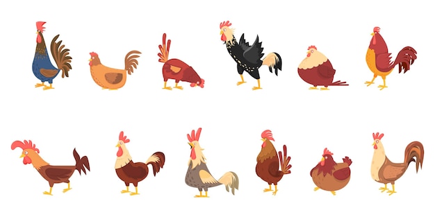 Cartoon chicken Cute chickens domestic birds Isolated rooster hen and chick Farm funny emotional animals easter decent vector characters