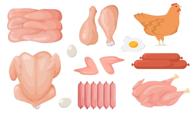 Cartoon chicken fresh raw meat vector set