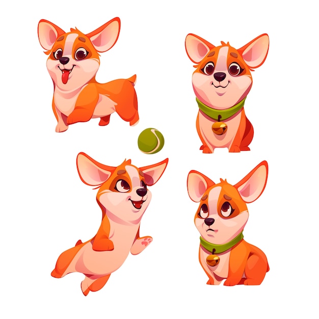 Cartoon corgi character collection