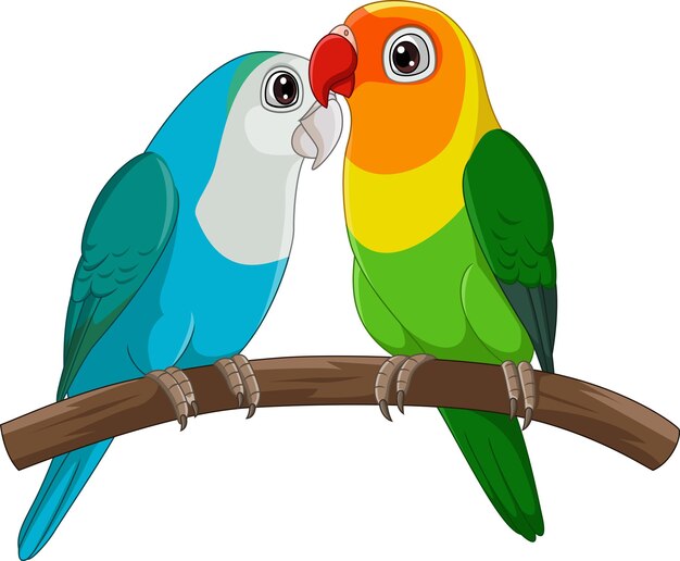 Vector cartoon couple lovebird parrot on white background