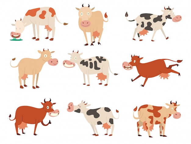 Cartoon cow characters