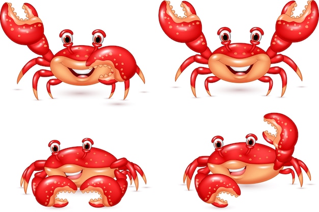 Cartoon crab collection set isolated on white background