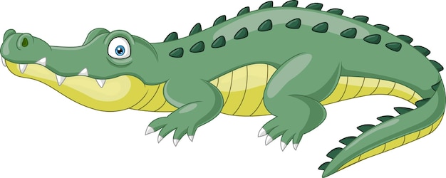 Cartoon crocodile isolated on white background