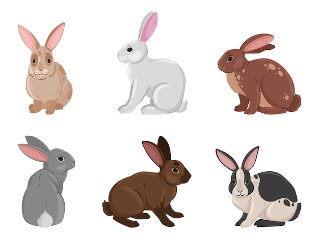 Cartoon cute bunnies Funny rabbits spring eared hare animals white and brown fluffy domestic bunnies flat vector illustration set on white background