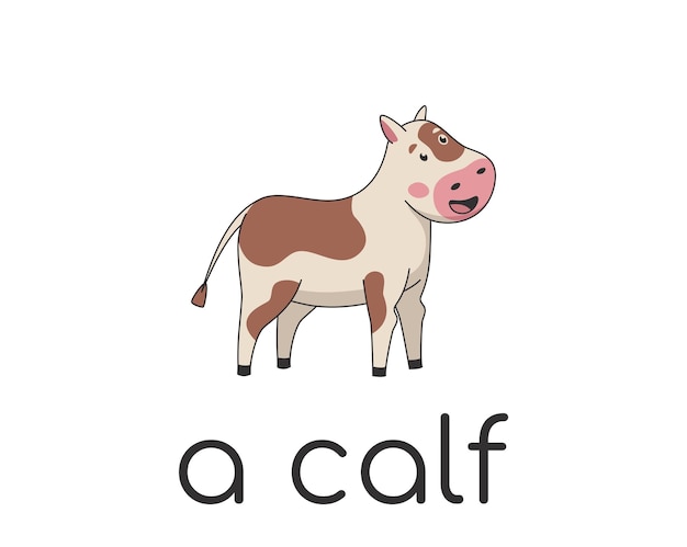 Cartoon cute calf white farm animal design