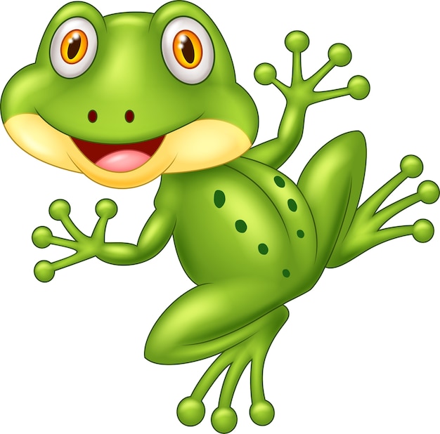 Cartoon cute frog illustration 