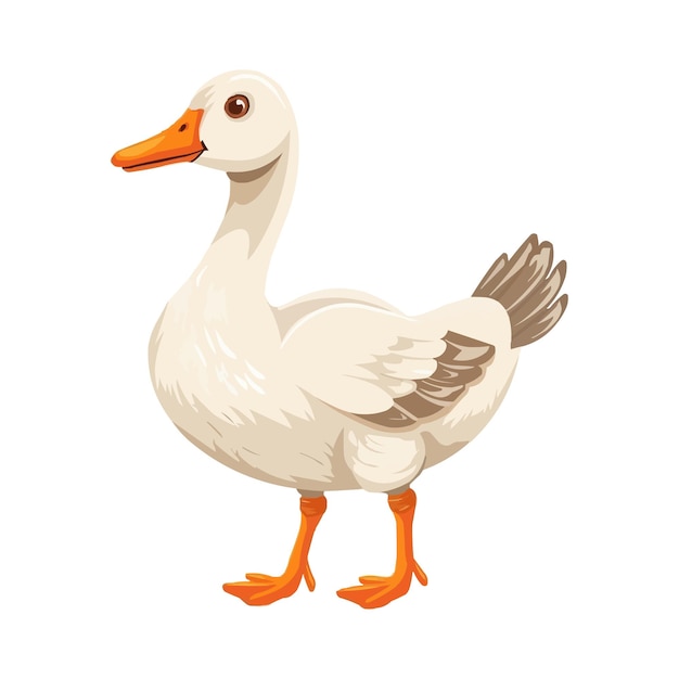 Cartoon cute goose isolated on white solid background