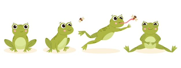 Cartoon cute hunting frog amphibian carnivore catch insects flat vector illustration