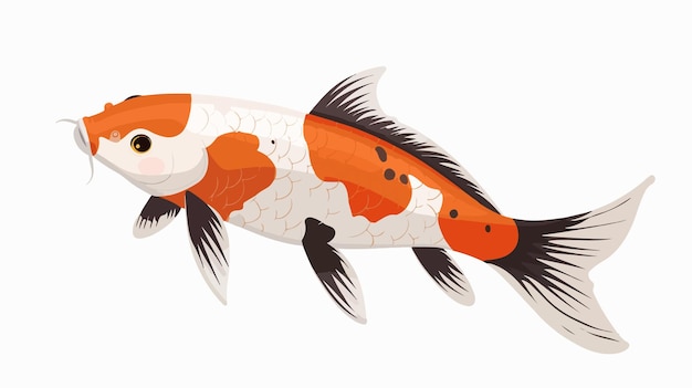 Cartoon Cute Koi Fish on White Background