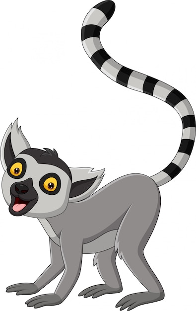 Cartoon cute lemur on white background