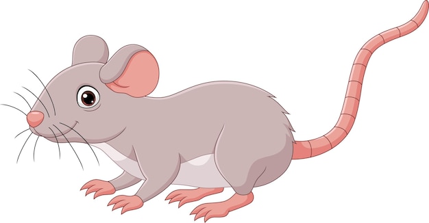 Cartoon cute mouse on white background