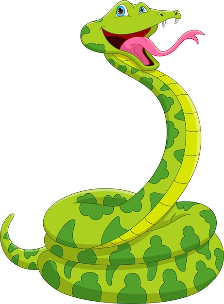 cartoon cute snake on white background