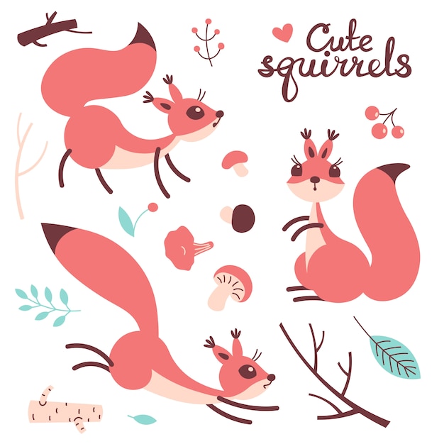 Cartoon cute squirrel. Little funny squirrels. illustration