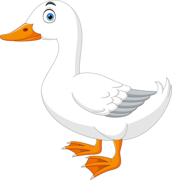 Cartoon cute swan on white background