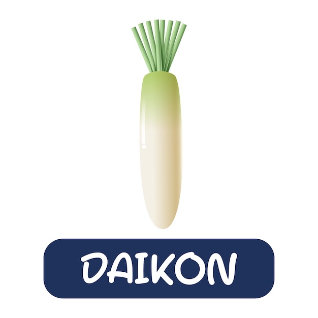 Cartoon daikon vegetables vector isolated on white background