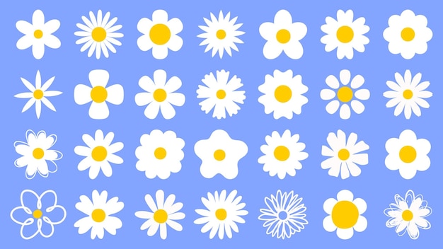 Cartoon daisy logo designs chamomile flower icons Flat spring floral elements Blossom flowers with white petals Doodle daisy vector set