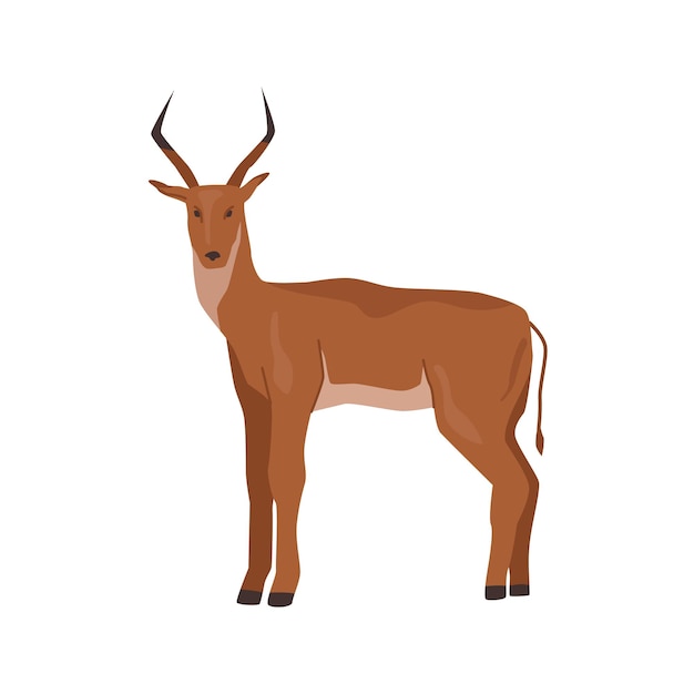 Cartoon deer animal african stag with antlers