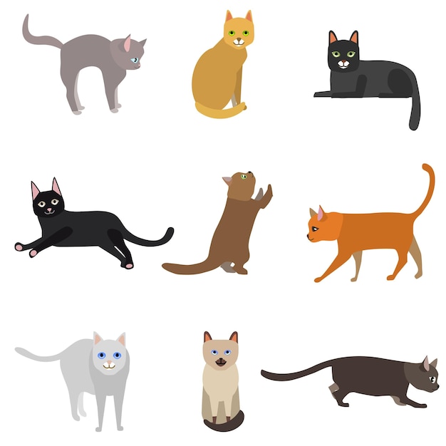 Cartoon Different Types Cute Cats Characters Icon Set Vector