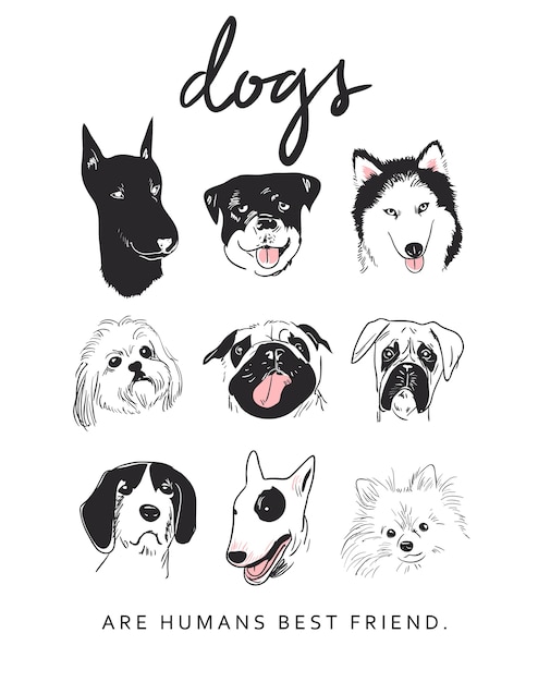 cartoon dog breeds illustration