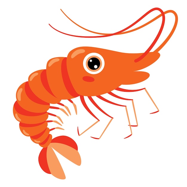 Cartoon Drawing Of A Shrimp