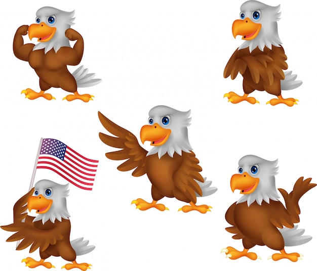 Vector cartoon eagle collection set