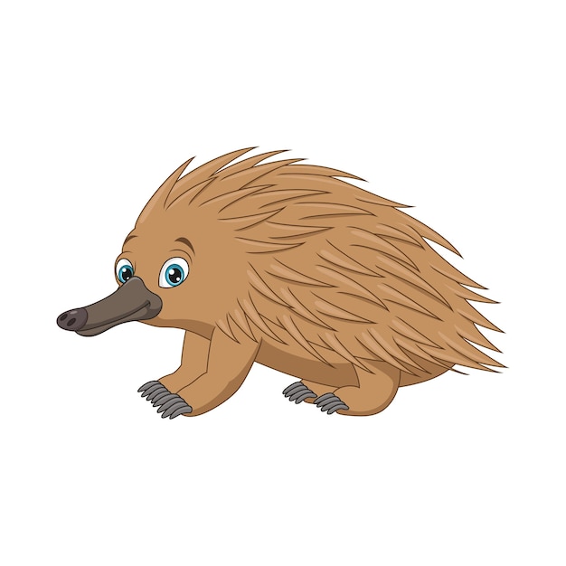 Cartoon echidna isolated