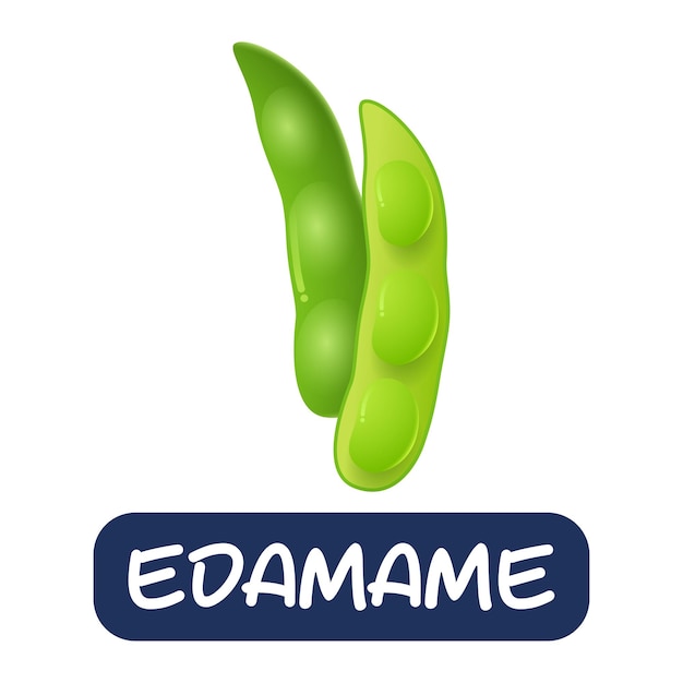 Cartoon edamame vegetables vector isolated on white background