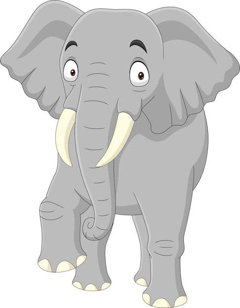 Cartoon elephant isolated on white