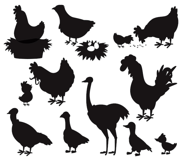 Cartoon farm birds cute chick hen rooster chicken goose duck turkey isolated Vectors Silhouettes