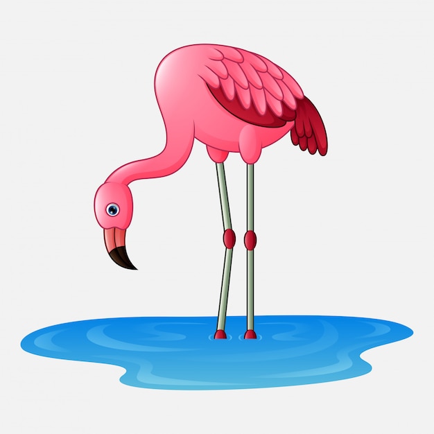 Cartoon flamingo cute