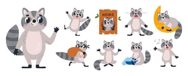 Cartoon flat raccoon character Careless funny raccoons in different poses wash and sing meditate and sleep Woodland classy vector characters