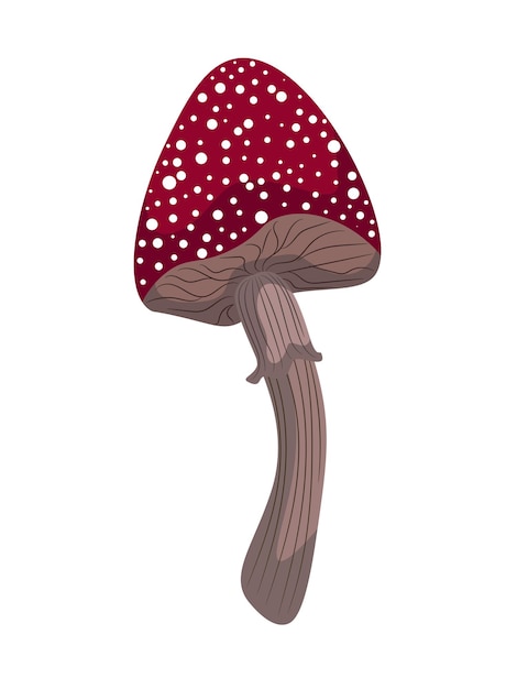 Cartoon fly agaric mushroom with white dots on a long stem with a skirt